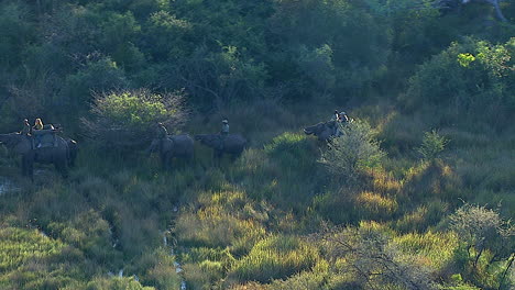 Turistas-En-Un-Paseo-En-Elefante-Por-Los-Pantanos-Del-Delta-Del-Okavango.