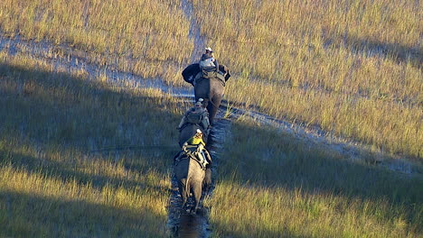 Turistas-En-Un-Paseo-En-Elefante-Por-Los-Pantanos-Del-Delta-Del-Okavango.