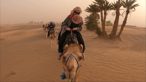 Camel-walking-through-desert-in-tourists-group