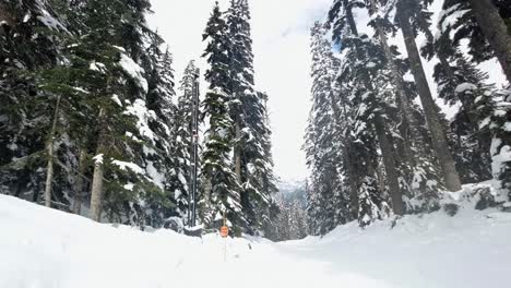Extreme-wide-tilting-down-slow-motion-shot-revealing-a-beautiful-ski-trail-surrounded-by-snow-and-pine-trees-at-the-Snoqualmie-Ski-Resort-in-Washington,-USA