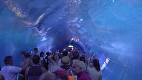 Valencia,-Spain,-April-2024:-People-at-aquarium-tube-watching-fishes
