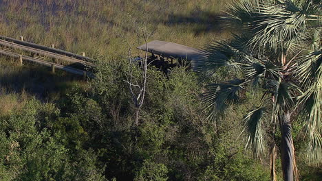 Tourists-on-a-game-drive,-driving-on-a-wooden-bridge-in-the-Okavango-Delta-swamps