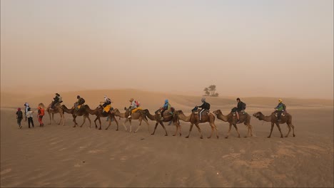 Camel-walking-through-desert-in-tourists-group