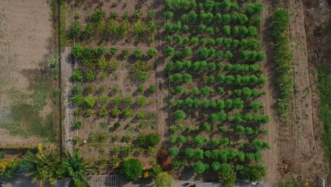 Aerial-View-Landscape-Agricultural