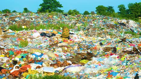 A-woman-toils-in-a-sprawling-landfill,-sorting-waste-as-black-kites-and-other-birds-scavenge-around-her