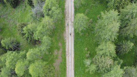 Sommer-Radtouristen-Genießen-Aufregende-Radtour-In-Grüner-Waldlandschaft-Von-Oben-Nach-Unten