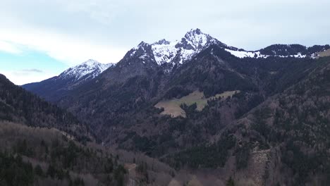 Vista-Aérea-De-Drones-Volando-Lateralmente-A-Lo-Largo-De-Un-Bosque-De-Pinos-Con-Montañas-Cubiertas-De-Nieve-En-El-Fondo-En-Un-Día-Nublado-En-Vorarlberg,-Austria