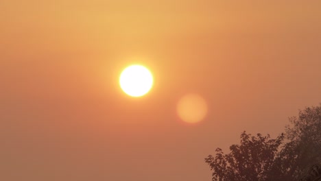 Sunrise-Big-Orange-Sun-Hazey-Clear-Sky-Bird-Flies-Off-Of-Gum-Trees-Australia-Victoria-Gippsland-Maffra-Medium-Shot