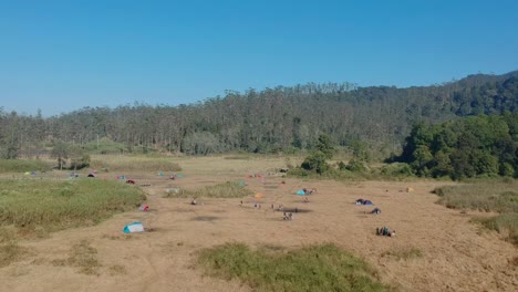 Camping-ground-in-forest