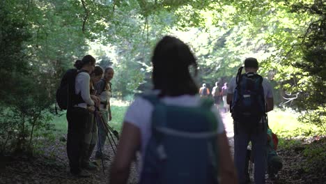 Valencia,-Spain,-April-2024:-Hikers-group-walk-along-a-rout-in-the-mountain