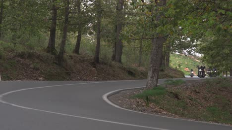 bikers-ride-a-curved-road-in-the-forest