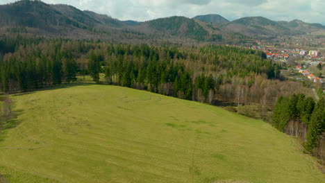 Rising-Drone-of-green-meadow-and-forest-trees-in-scenic-area-of-Poland