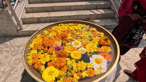 Close-up-of-a-pot-filled-with-water-and-Marigold-flower