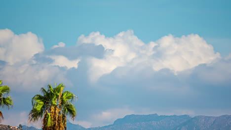 Palm-tree-closeup,-fluffy-clouds-over-Malaga's-mountain,-timelapse-of-tropical-weather