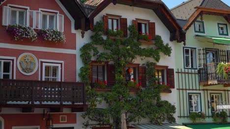Zoom-Auf-Den-Birnbaum,-Der-Auf-Einem-Der-Hallstatt-Häuser-Wächst