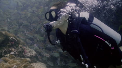Slow-motion-shot-of-diver-swimming-out-of-two-reef-walls-with-fishes-in-Caribbean-Sea