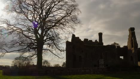 Bective-Abbey