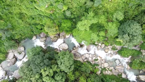 Aerial-view-of-a-river-flowing-through-a-forest