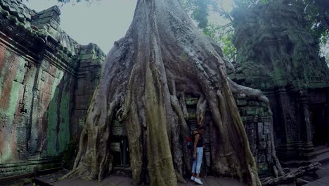 Árbol-Crecido-Sobre-Las-Ruinas-Del-Templo-Hindú-Más-Antiguo-Del-Mundo,-El-Complejo-De-Templos-Ankor-Wat-Ubicado-En-Camboya.