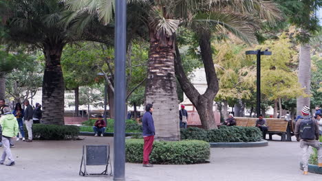 People-enjoy-huge-shade-trees-in-Main-Square-plaza-in-Santiago,-Chile