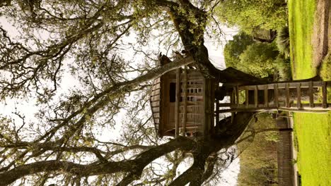 vertical-shot-of-Wooden-tree-house-on-Green-lawn-in-Slow-motion