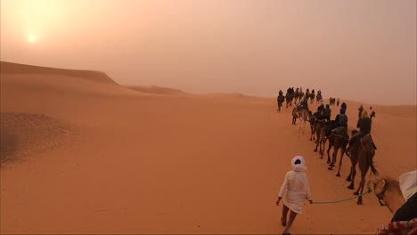 Camel-walking-through-desert-in-tourists-group