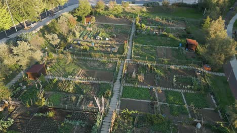 Sostenibilidad---Granja-Comunitaria-En-El-Centro-De-La-Ciudad