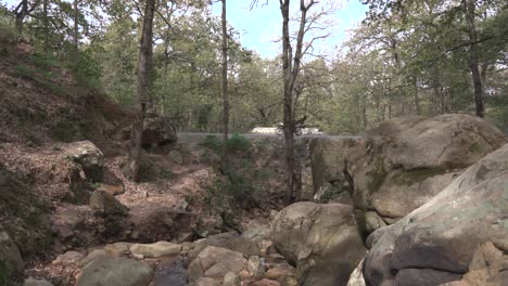 Los-Ciclistas-Viajan-En-El-Bosque.