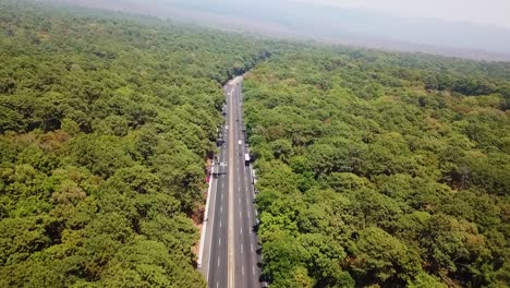 Road-with-woods-forest-and-trees-and-grass,-cars-passing-by-on-a-sunny-day