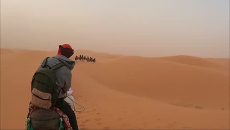 Kamel-Zu-Fuß-Durch-Die-Wüste-In-Touristengruppe