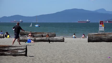 Eine-Krähe-An-Einem-Meeresstrand-In-Der-Sonne