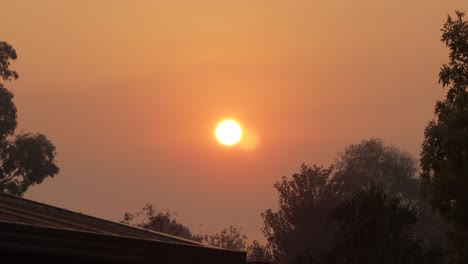 Sonnenaufgang,-Große-Orange-Sonne,-Dunstig,-Klarer-Himmel,-Gummibäume,-Vögel-Auf-Stromleitungen,-Australien,-Victoria,-Gippsland,-Maffra