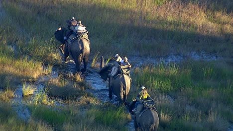 Turistas-En-Un-Paseo-En-Elefante-En-El-Pantano-Del-Delta-Del-Okavango.