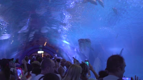 Valencia,-Spanien,-April-2024:-Menschen-Im-Aquarium-Beobachten-Fische