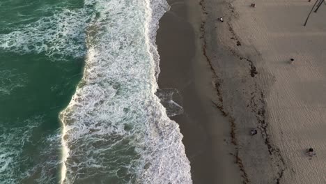 A-top-down,-aerial-view-of-Hollywood-Beach,-Florida-on-a-sunny-day