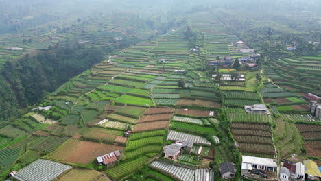 Los-Campos-De-Hortalizas-Cubren-Las-Estribaciones-Del-Volcán-Gede-Mientras-Los-Drones-Avanzan-Hacia-La-Derecha.