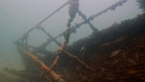 Toma-De-Niebla-Bajo-El-Agua-De-Los-Restos-De-La-Cubierta-Con-Peces-Alrededor