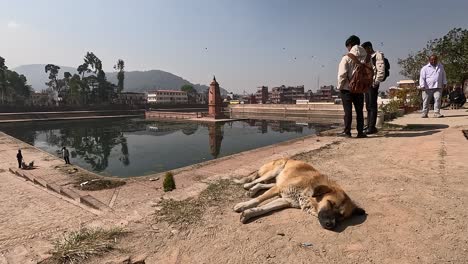 Dormir-Frente-A-Bhajya-Pukhu-En-Bhaktapur.