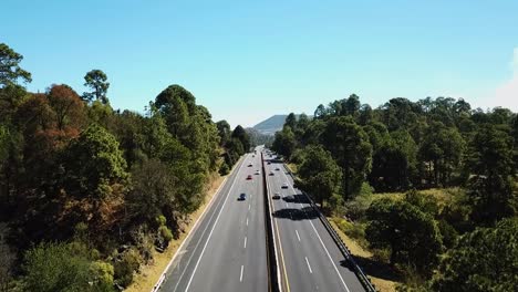 Camino-Con-Bosques,-árboles-Y-Pasto,-Autos-Pasando-En-Un-Día-Soleado