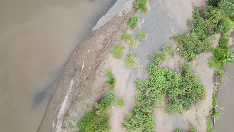 Drone-Moviéndose-Sobre-Cocodrilo-En-El-Río-Tarcoles-En-Costa-Rica