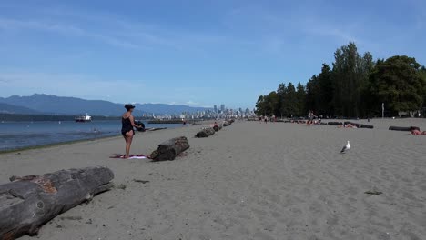 Una-Gaviota-En-Una-Playa-Observa-A-Una-Dama-Ponerse-La-Ropa