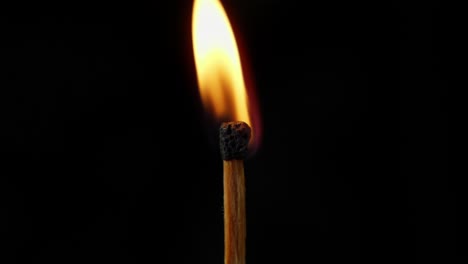 Lighting-Up-Match-Stick,-Burning-Igniting-in-Dark-With-Black-Background,-Close-Up-Studio-Shot