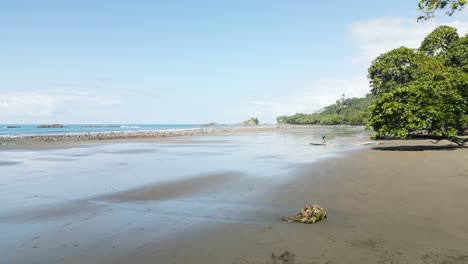 Luftaufnahmen-Von-Einem-Wunderschönen-Strand-In-Costa-Rica-In-Mittelamerika