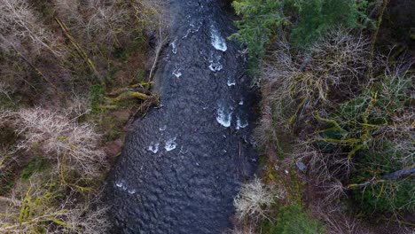 Bird's-eye-view-of-Cedar-river-flowing-through-forest-above-tree-line-in-Washington-State