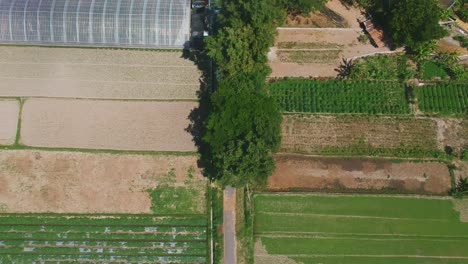 Luftaufnahme-Landschaft-Landwirtschaft