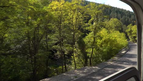 The-Rhodope-narrow-gauge-train-moves-slowly-on-its-way-through-the-Rhodope-mountains