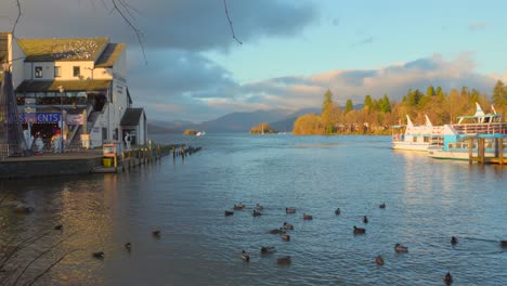 Golden-hour-at-Bowness-on-Windermere-with-ducks-on-lake-and-boats-docked,-tranquil-English-scenery