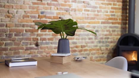 Green-flower-leaws-at-the-office-desk-slide-slow-motion