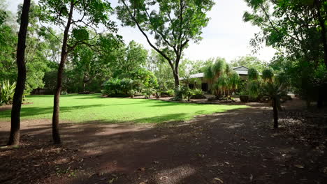 Rural-Tropical-Large-Lawns-With-Thin-Trees-and-Tall-Shade-Canopy-OVer-Grass