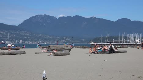 Seagull-at-the-beach,-mountains-in-background